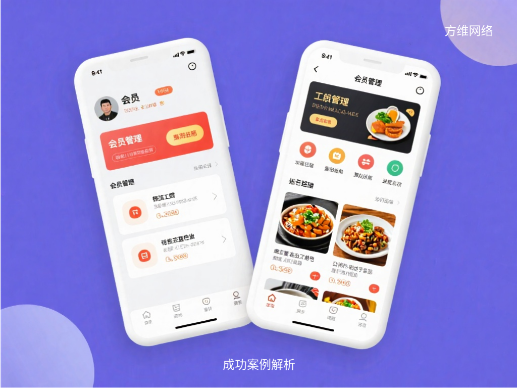 成功案例解析